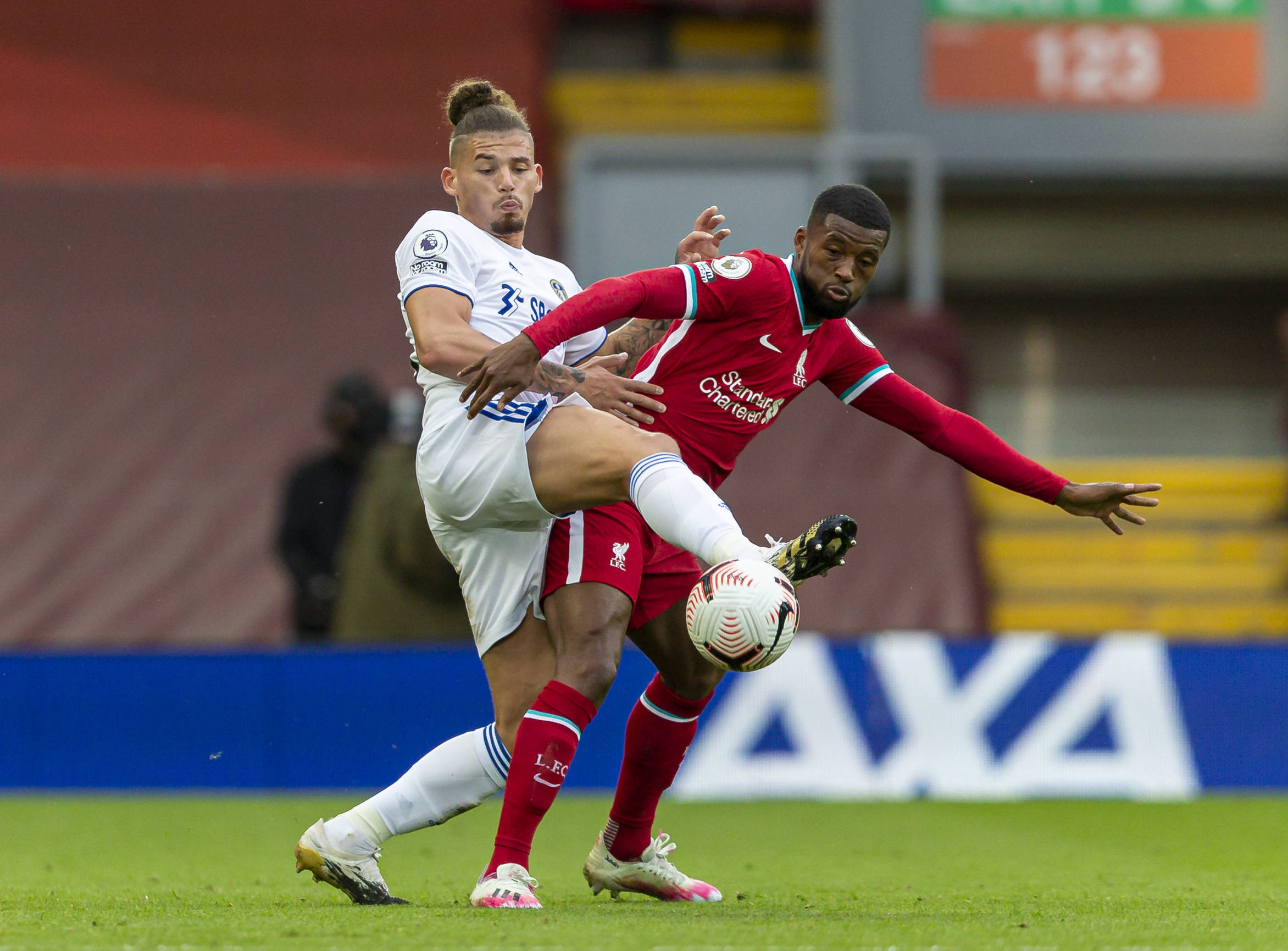 拥有一个灵 拥有一个灵